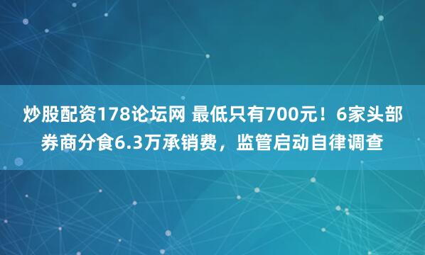 炒股配资178论坛网 最低只有700元！6家头部券商分食6.3万承销费，监管启动自律调查