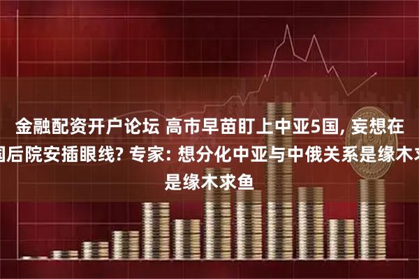 金融配资开户论坛 高市早苗盯上中亚5国, 妄想在中国后院安插眼线? 专家: 想分化中亚与中俄关系是缘木求鱼