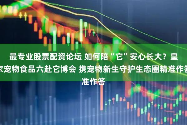 最专业股票配资论坛 如何陪“它”安心长大?皇家宠物食品六赴它博会 携宠物新生守护生态圈精准作答