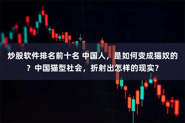 炒股软件排名前十名 中国人，是如何变成猫奴的？中国猫型社会，折射出怎样的现实？