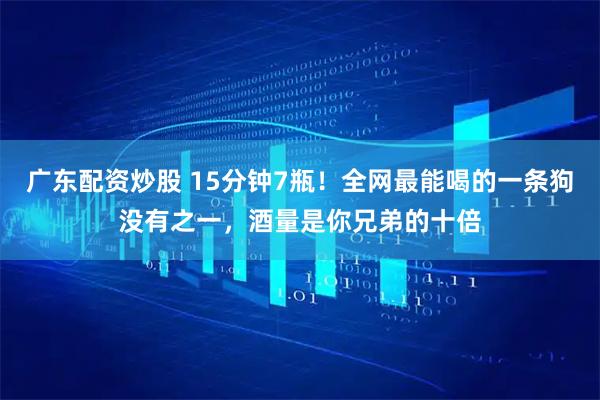 广东配资炒股 15分钟7瓶！全网最能喝的一条狗没有之一，酒量是你兄弟的十倍